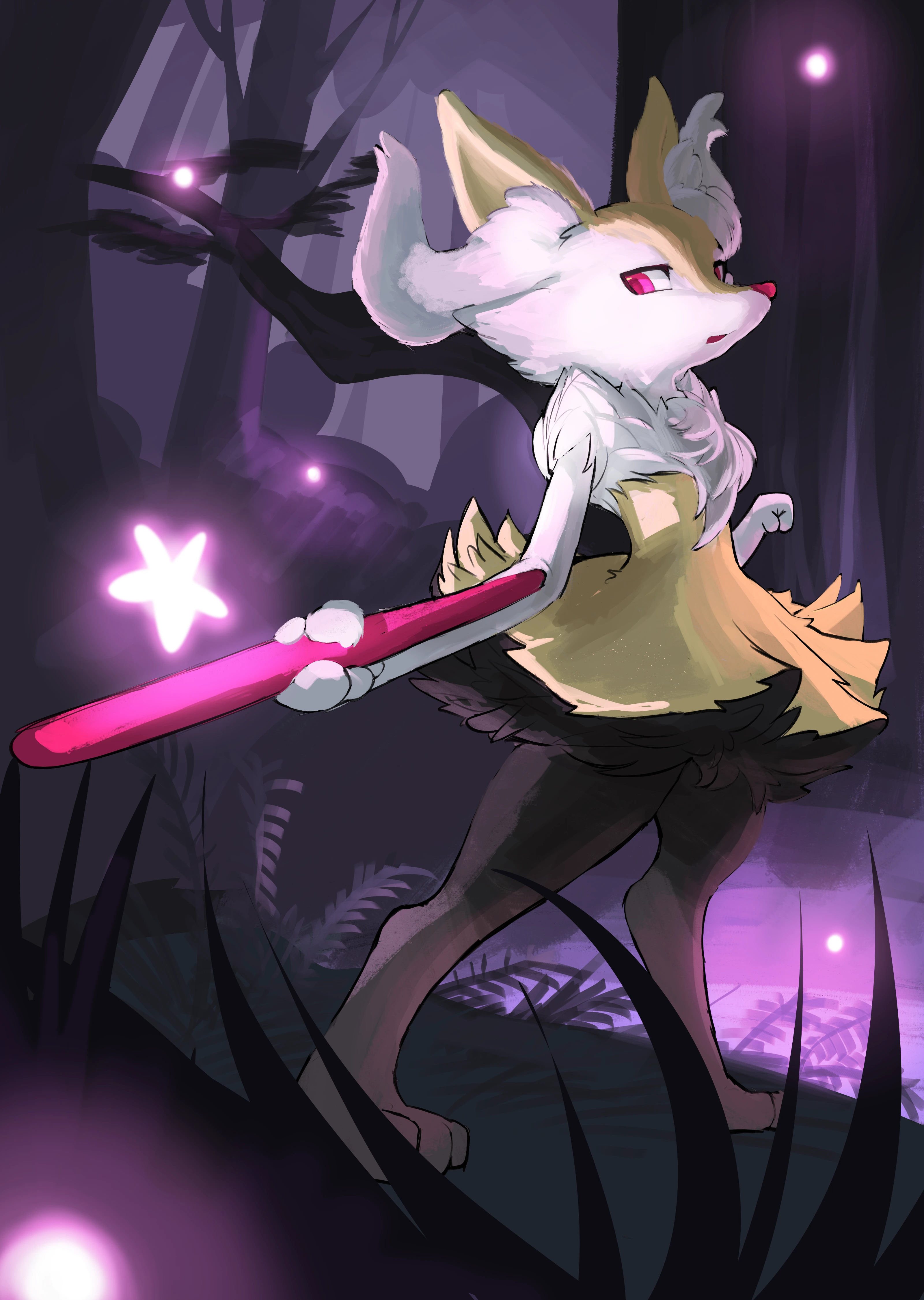 Braixen RLM